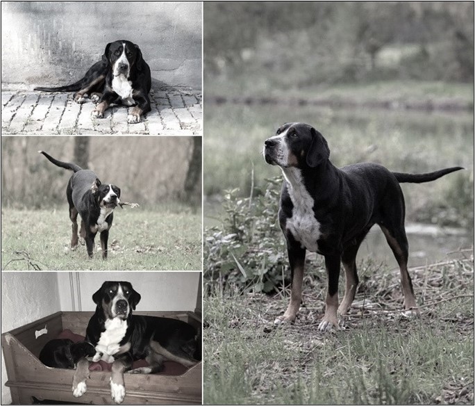 In memoriam zwart-wit