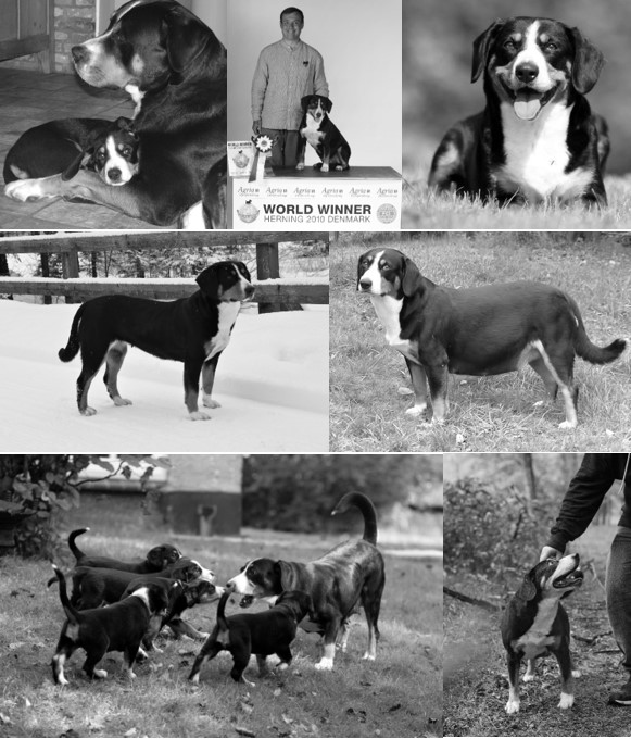 In memoriam