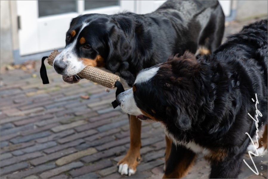 Rechts onder rand (Custom)